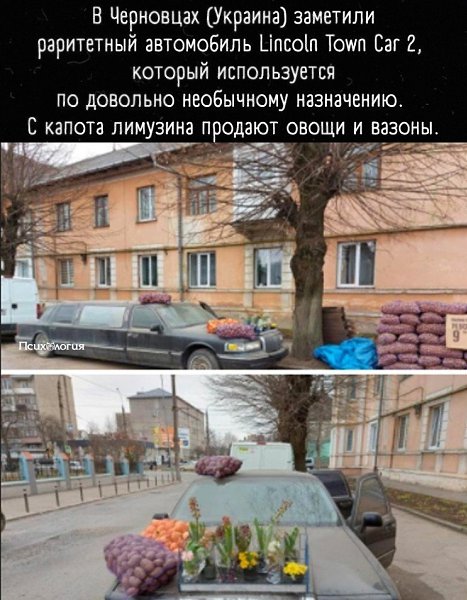Когда лимузин купил дедушка, который всю жизнь мечтал о большой вместительности салона