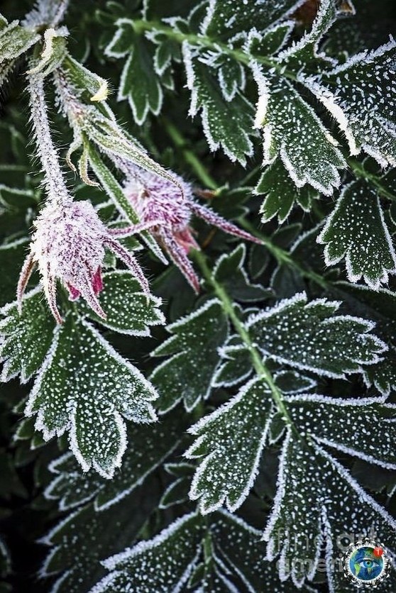 ooa oce  ocoo pacoo ... - 6