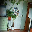 ���� ������, ʸ���, 55 ��� - ��������� 20 ������� 2021 � ������ ���� ����������