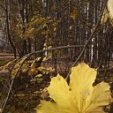 ���� �����, ������, 64 ���� - ��������� 11 ������� 2021 � ������ ������ ��������