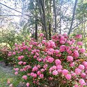 ���� ����, �����-���������, 68 ��� - ��������� 9 ���� 2021 � ������ ����� 2021�