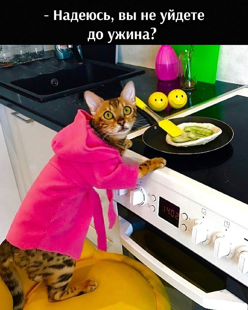       - 17  2021  22:04