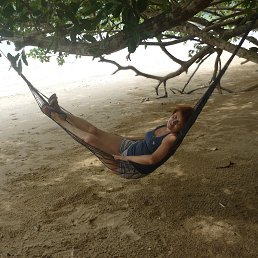 ������, �����������