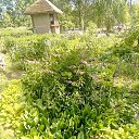 ���� ����, �����-���������, 68 ��� - ��������� 9 ���� 2021 � ������ ����� 2021�