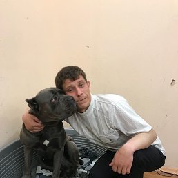 �������, �������, 38 ���