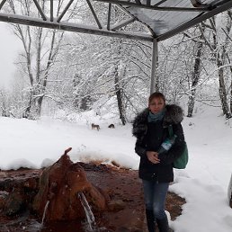 �����, ������