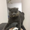 ���� ���, �����-���������, 51 ��� - ��������� 22 ������� 2021 � ������ ���� ����������