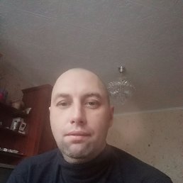 , 44, 