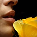 ���� ������, ��������, 46 ��� - ��������� 20 ������ 2021 � ������ ���� ����������