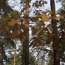  , , 75  -  27  2021    -    .    !