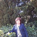 ���� �������, �����, 64 ���� - ��������� 17 ������� 2021 � ������ ���� ����������