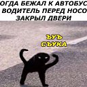 ���� Dead, ������, 29 ��� - ��������� 15 ���� 2021 � ������ ���� ����������