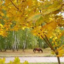 ���� ��������, ���� - ��������� 13 ��� 2021 � ������ ���� ����������