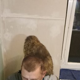 ���� ������, ����, 58 ��� - ��������� 22 ������� 2021