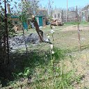  , , 73  -  3  2021      2021