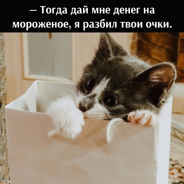 ��� ���� � ����� �� �� - 13 ������ 2021 � 19:07 - 3