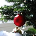 ���� �������, ��, �������� - ��������� 27 ������� 2021 � ������ ���� ����������