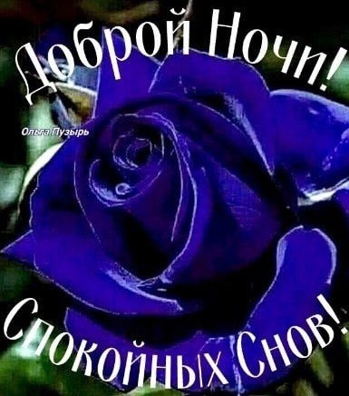   ,    . - 15  2021  22:23 - 8