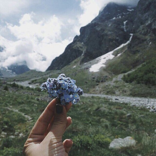 — Сердце ведь не обманешь, оно точно знает, кого оно любит.