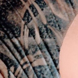 Vladimir, �����, 33 ����