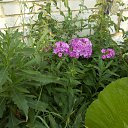 ���� Nikolay, ������ ��������, 73 ���� - ��������� 22 ������� 2021 � ������ �2021 �