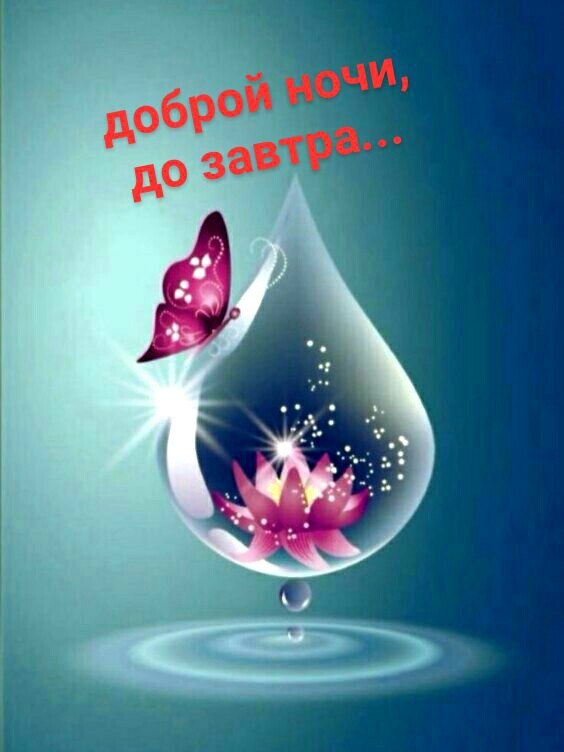   ,    . - 28  2021  21:01 - 4