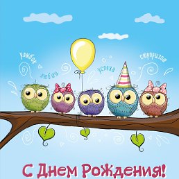 �����, �����-���������, 31 ���