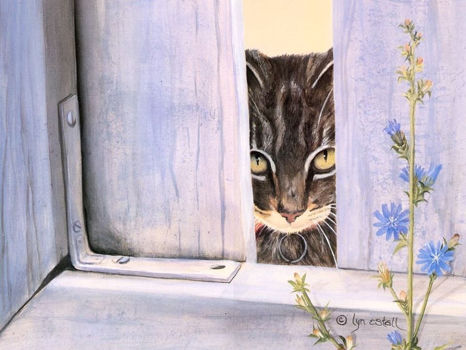 -  ,          ,  ...