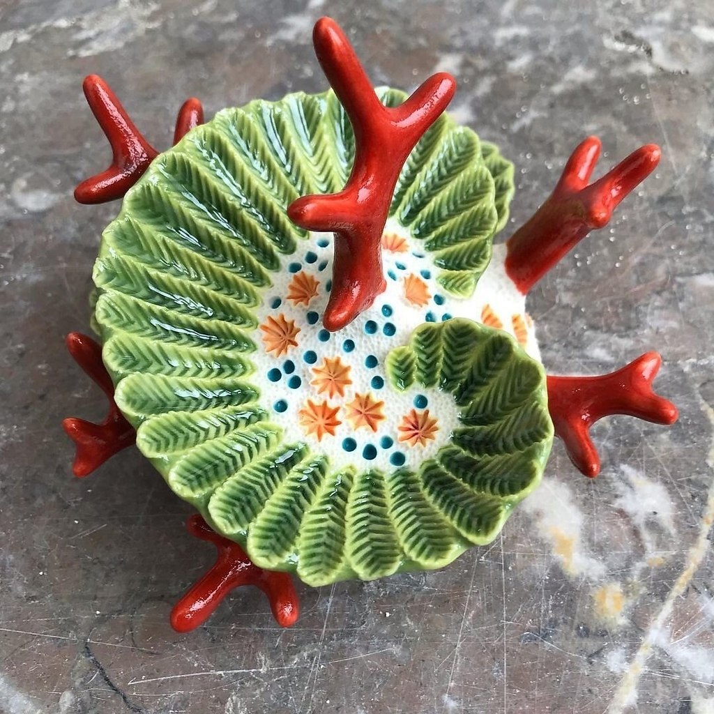 �������������� �������! ����� ���������� ������ �� ������� ������ �� Lisa Seaurchin - 5