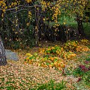 ���� �����, ���������, 67 ��� - ��������� 17 ������� 2021 � ������ ������ �� �������� �������.�