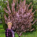 ���� ������, ���������, 68 ��� - ��������� 3 ��� 2021 � ������ ���� ����������