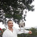   , -, 40  -  10  2021    