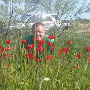 ���������, 62 ����, ������