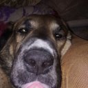 ���� ������, ������� - ��������� 15 ���� 2021 � ������ ���� ����������