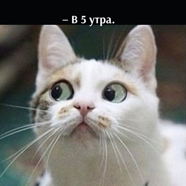       - 29  2021  22:27 - 4