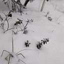 ���� Elena, ������, 63 ���� - ��������� 14 ������� 2021 � ������ ���� ����������