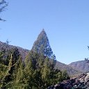 ���� ������, �����������, 64 ���� - ��������� 21 �������� 2021 � ������ ���� ����������