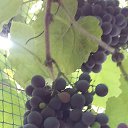 ���� Dima, ������-��-����, 48 ��� - ��������� 16 ������� 2021