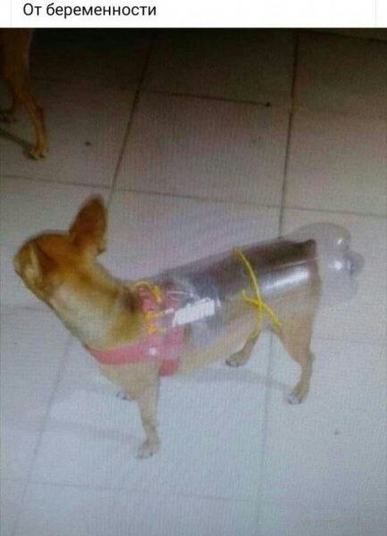  - 1  2021  09:43
