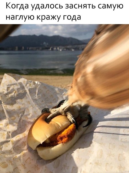 ����� ����� �e�� ���