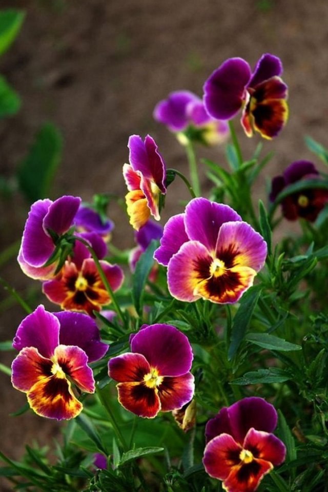  ! - 26  2021  21:46 - 2