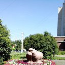 ���� �����, �����, 56 ��� - ��������� 8 ���� 2021 � ������ ������ ��������