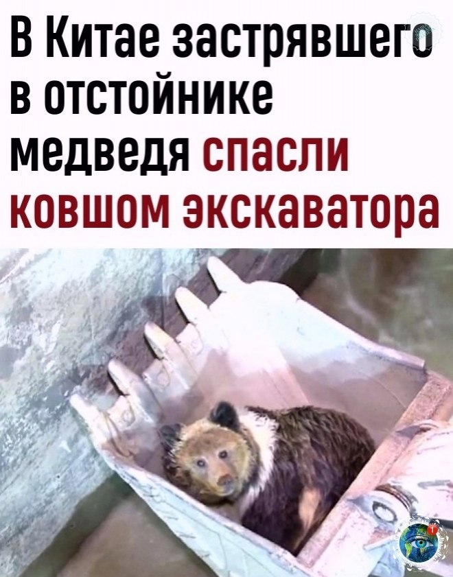 cop cac o https://fotostrana.ru/away?to=/sl/AKi2atplant