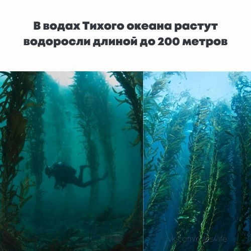 LIFE -  - 25  2021  23:16