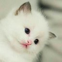 ���� ��������, ���������, 27 ��� - ��������� 19 ��� 2021 � ������ ���� ����������