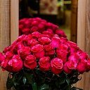 ���� �������, ������ - ��������� 30 ������� 2021 � ������ ���� ����������