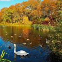 ���� Iren, ��������� - ��������� 29 �������� 2021 � ������ ������ ��������