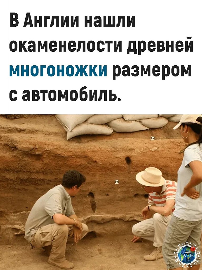 opoo, o a ceo  oaeeoc...