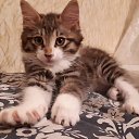 ���� ����, ��� - ��������� 7 ������ 2021 � ������ ���� ����������