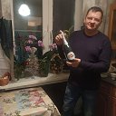 ���� ��������, ���������, 43 ���� - ��������� 2 ������ 2022 � ������ ���� ����������